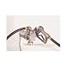 GPI 110000-100 M-150S-AU 12-Volt DC Electric Aluminum Gear Pump