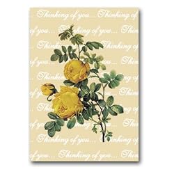 Thinking of You with Rosa Sulfurea - 5" x 7" Vellum Overlay Greeting Card