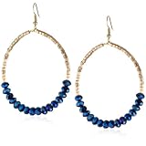 Josefina De Alba Diana Crystal Hoop Earrings