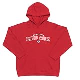 Boston Red Sox MLB Youth JV Hooded Sweatshirt (Full Front Logo) (Dark Red)