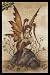 Amy Brown (Little Red Mischief Fairy) Art Black Wood-Mounted Poster Print - 24