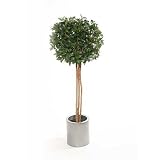 Review i-koncepts Ltd  / 4ft Single Ball Bayleaf Topiary with Natural Stem - Artificial Plant