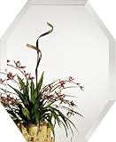 IMAGE OF Alno 9561-102 - Octagon Mirror