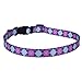 Yellow Dog Design Argyle Purple Dog Collar Fits Neck 14 to 20