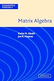 Matrix Algebra (Econometric Exercises)