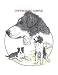 Border Collie - Trio Image by Cindy Farmer