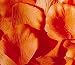 200 Silk Rose Petals Wedding Favors - Solid Colors - Orange