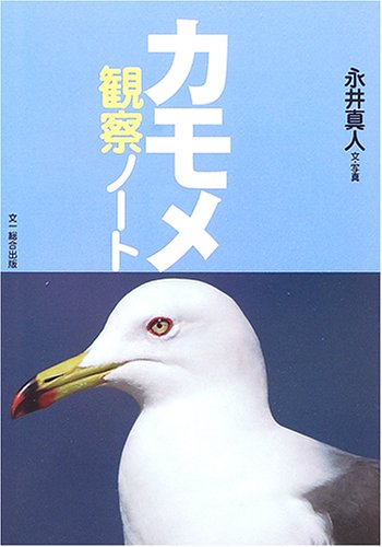 Cover image : カモメ観察ノート