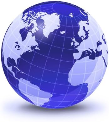 Stylized Earth Globe with Grid Wall Decal - 24 Inches H x 24 Inches W - Peel and Stick Removable Graphic