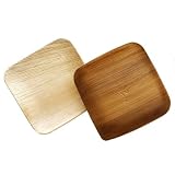 Verterra - Verterra Dinnerware 6 Square Party Perfect Plates, 8 plates