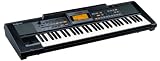 Roland E-09 Interactive Arranger Electronic Keyboard - Factory