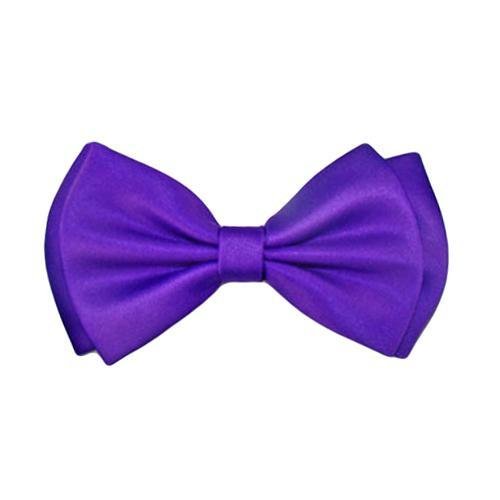 Vivid Solid Purple Pre-Tied Men's Formal Bow Tie