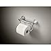 Delta Faucet 41350 Traditional Pivoting Tissue Holder / Assist Bar, Polished Chrome,4.25 x 5.38 x 6.00 inches