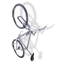 Delta Leonardo Single Bicycle Rack with Da Vinci Tire Tray
