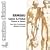 Rameau: Castor & Pollux Ch�urs et danses