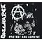 For those who wish to explore punk/hardcore.