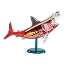 Smart Lab Shark Model