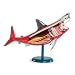 Smart Lab Shark Anatomy Model