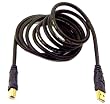 Belkin Gold Series 6-Foot USB A to B Cable; 20/28 AWG; DSTP