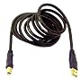 Belkin Gold Series 6-Foot USB A to B Device; 20/28 AWG; DSTP