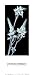 Thomas Horbett - Star of Bethlehem Size 13.5x30 - Thomas Horbett Art Print Poster 13.5 x
