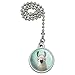GRAPHICS & MORE Hip Llama with Glasses Ceiling Fan and Light Pull Chain