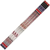 MLB Washington Nationals 3-Pack Team Logo Pencil Set - Red