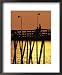 Fishing pier at Rodanthe, North Carolina Framed Art Poster Print by Steve Winter, 18x22