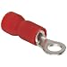 Morris Products 10010 Ring Terminal, Vinyl Insulated, Red, 22-16 Wire Size, #4 Stud Size (Pack of 100)