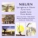 Springtime in Funen