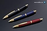 Pilotpen 60166 Blue w/Gold Accents Fine Nib