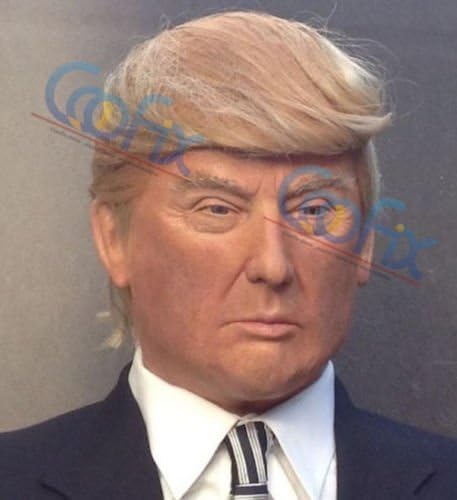 2016 Donald J. Trump Wig Comb Over adult Make America Great Again for President