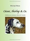 C�sar, Shirley & Co.