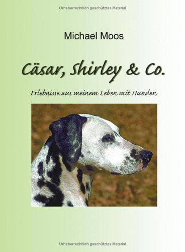 C�sar, Shirley & Co.