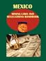 Mexico Mining Laws and Regulations Handbook (World Law Business Library)