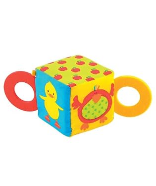 Sunshine Garden Teether Cube