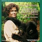 Gorillas in the Mist