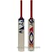 Sporting Goods : SG Cover Drive Kashmir Willow Cricket Bat