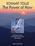 The Power of Now 2011 Datebook (Engagement Calendar)