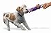 KONG - Tugger Knots Monkey - Tug of War Dog Toy, Minimal Stuffing and Looped Ropes for added Strength - For Small/Medium Dogs