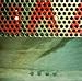 Fugazi, Red Medicine, 発売中
