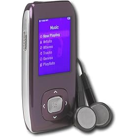 Samsung YP-T9JQU 2 GB Digital Multimedia Player (Purple)