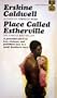Place Called Estherville