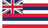 Allied Flag Outdoor Nylon State Flag, Hawaii, 5-Foot by 8-Foot