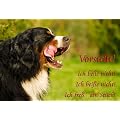 Metall - Warnschild Berner Sennenhund