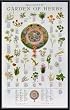 Art Poster Metal Framed Print - Cook's Garden of Herbs - Artist: Weissman- Poster Size: 36 X 22