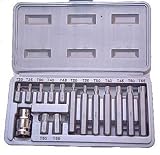 Tools & Hardware : 15 Pcs Star Torx Bit Set