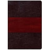 kjv study bible large print edition saddle brown leathertouch