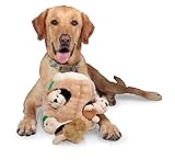 Outward Hound 31003 Hide A Squirrel Plush Dog Toy Squeak Toy 4 Piece, Jumbo, Brown