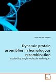 Dynamic protein assemblies in homologous recombination: studied by single-molecule techniques